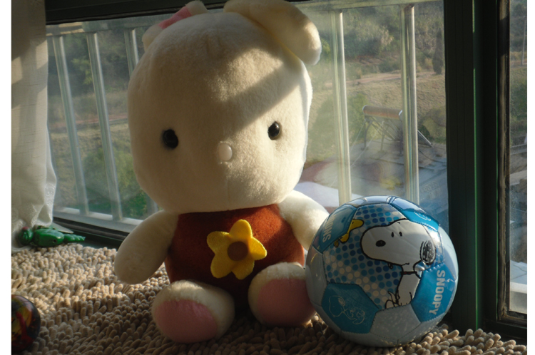 Ballon de football - Ref 5220 Image 24