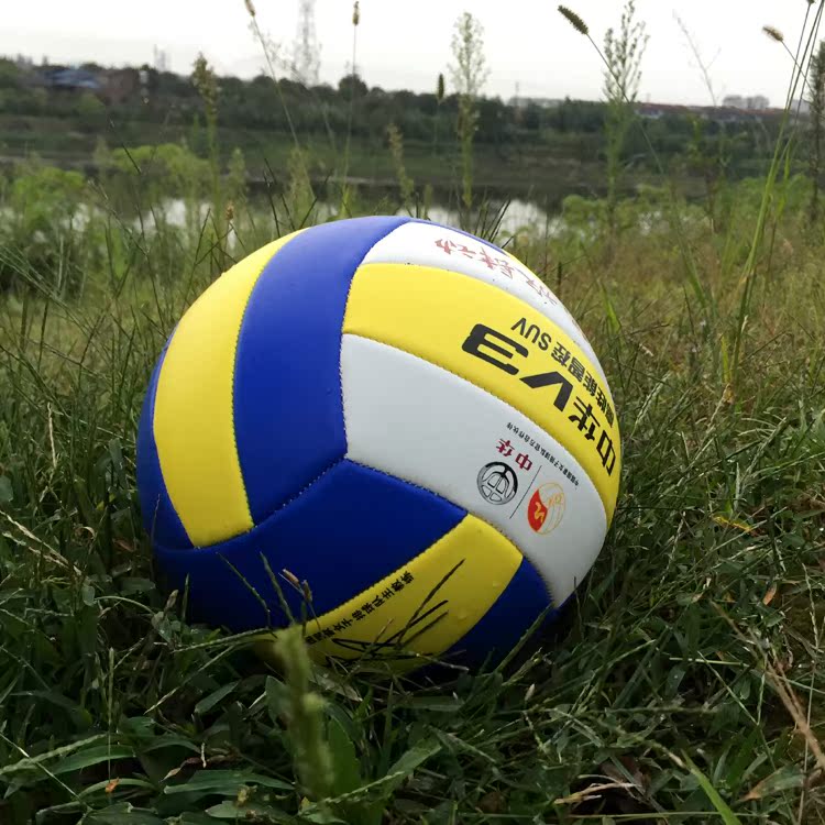 Ballon de volley-ball - Ref 2008006 Image 12