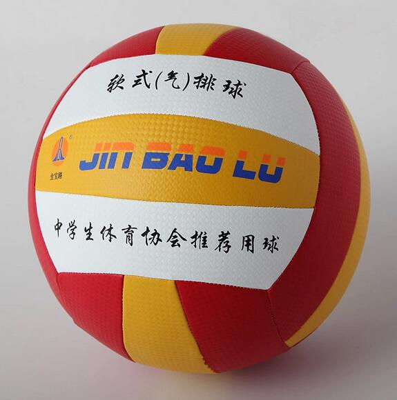 Ballon de volley - Ref 2010411 Image 9