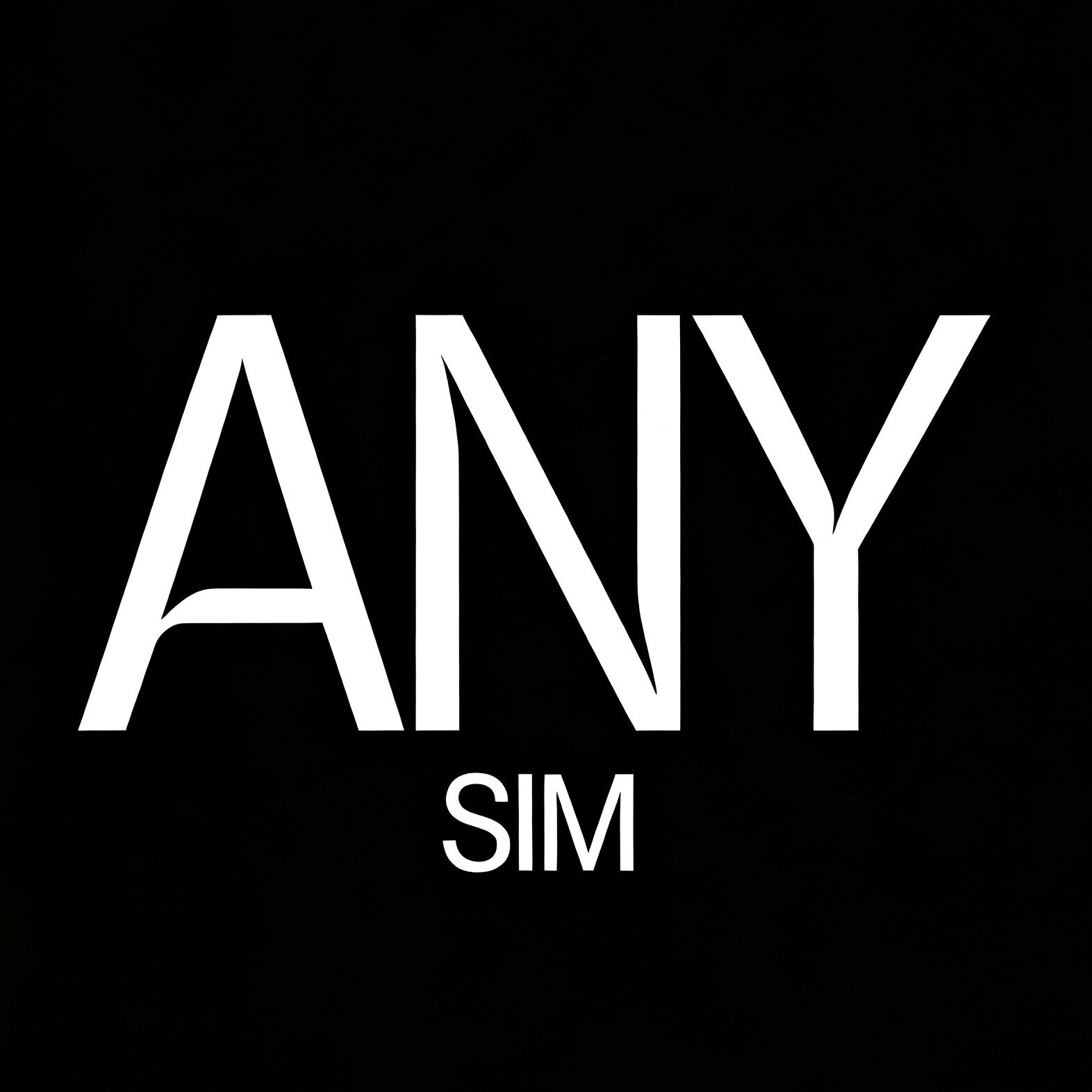ANYSIM 安简饰品的LOGO