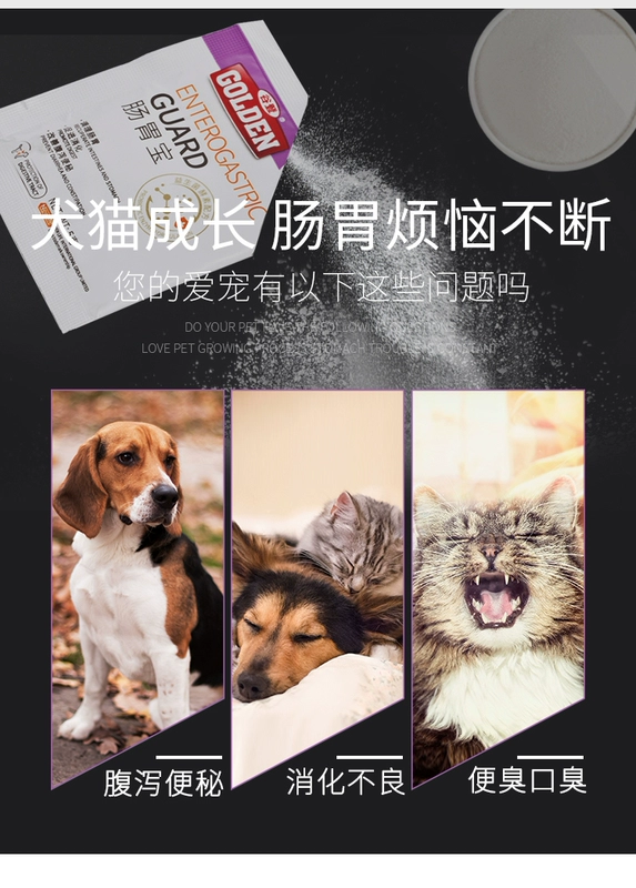 Gudeng túi tiêu hóa 12 túi cat dog enzyme men vi sinh mèo con điều hòa tiêu hóa chống tiêu hóa - Cat / Dog Health bổ sung