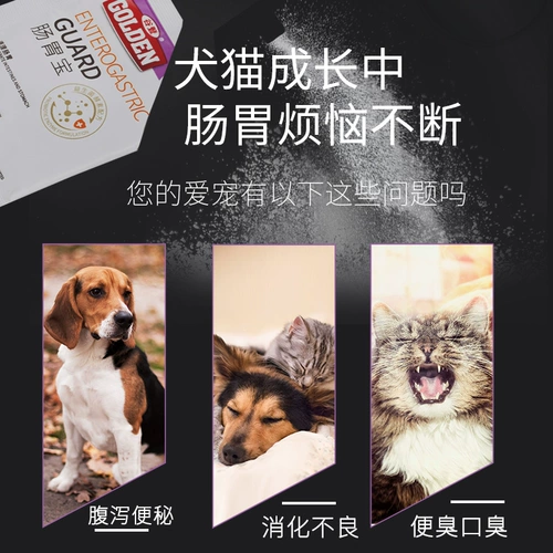 谷登 Желудочно -кишечные сокровища кошки и собаки Пробиотики рвота Диарея котят для кондиционирования желудочно -кишечных бактерий для домашних животных для домашних животных