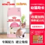 Hoàng gia kitten thực phẩm K36 kitten mèo thực phẩm 2 kg pet cát thực phẩm mang thai cho con bú mẹ mèo thực phẩm mèo staple thực phẩm thức ăn của mèo