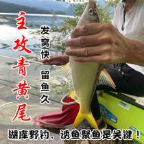 Reservoir wild fishing general green and yellow tail bait specializing in red-tailed carp heavy lip fish crucian carp fishy-scented all-around nesting material