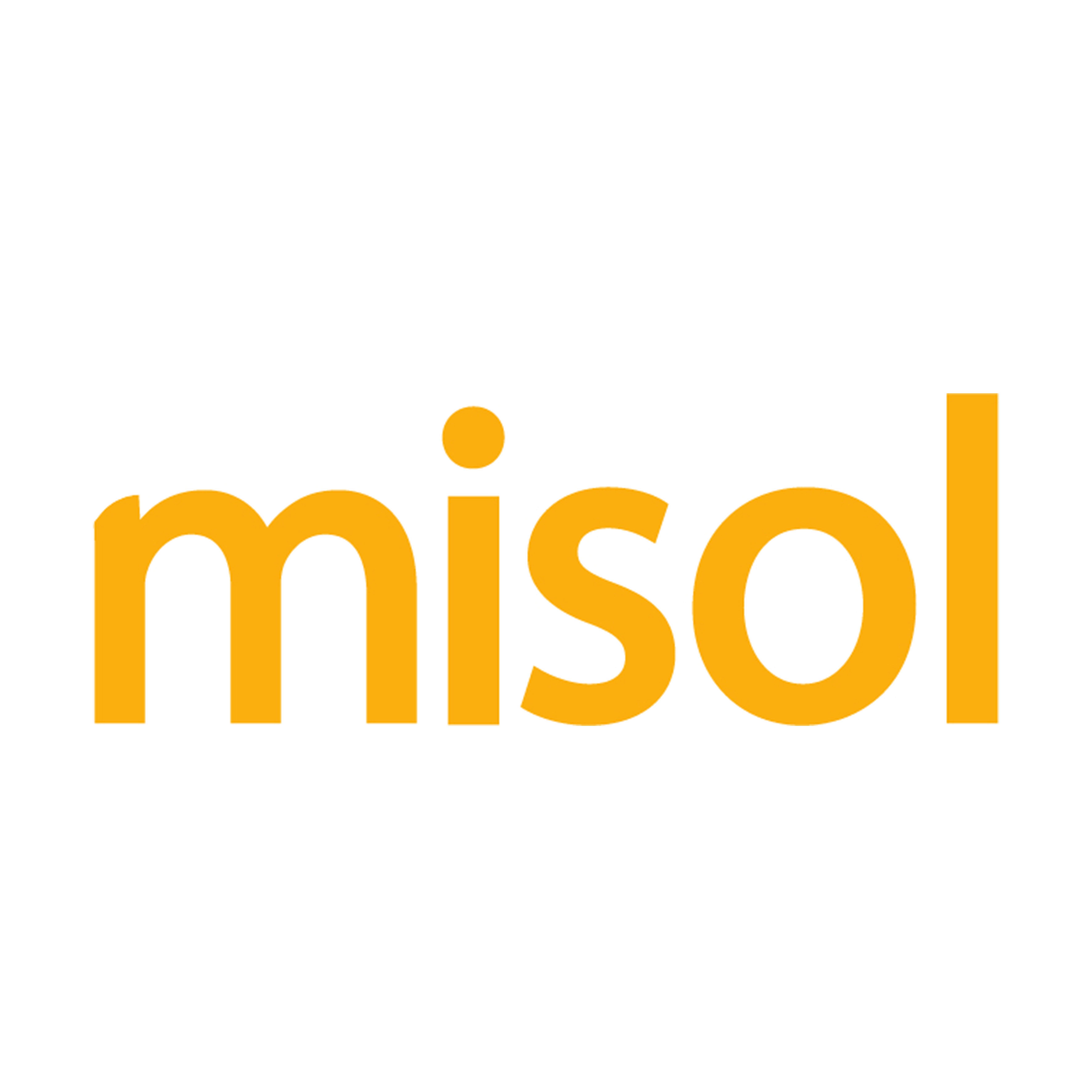 misol 气象仪企业店