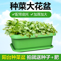 Balcony vegetable resin large flower pot thickened rectangular seed pot plastic vegetable pot planting pot