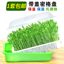 Hot sale sprouts hydroponic tray bean sprouts nursery tray bean seedling planting tray soilless cultivation seedling basin with cover