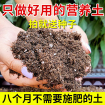 General nutrition soil organic vegetable soil planting flower growing vegetable soil balcony planting vegetable soil humus soil humus soil fleshy soil flower soil