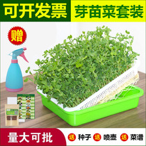 Aijia vegetable garden Bean sprouts seedling tray Wheat seedling seedling vegetable planting tray Soilless cultivation hydroponic vegetable rack