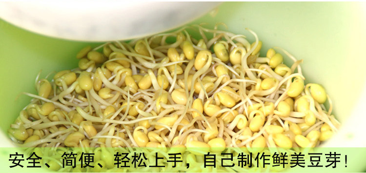 Bean Crpout может развести ковш воду породы бобов