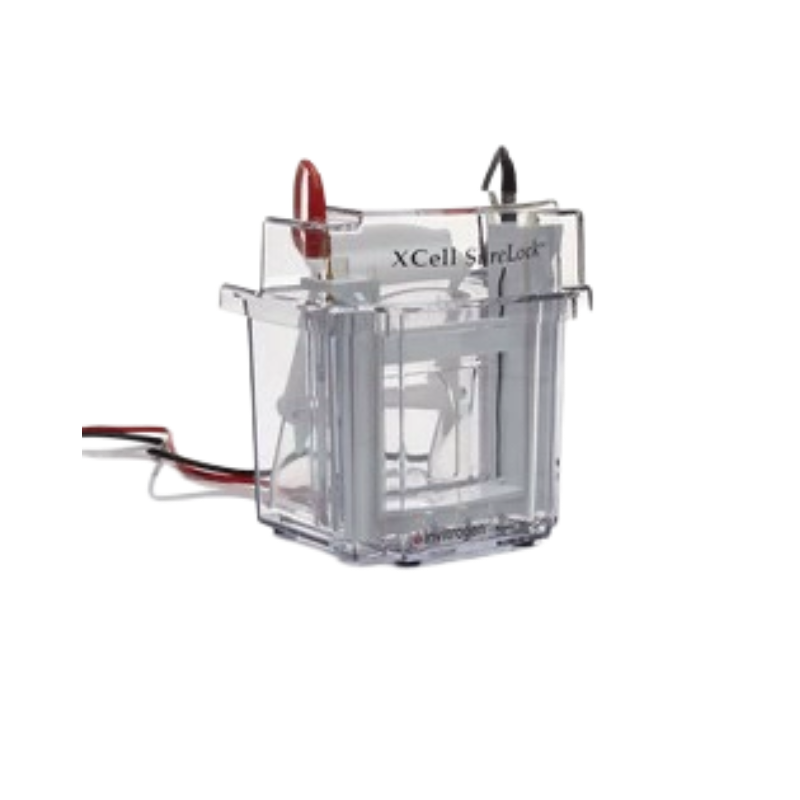 EI0001，XCell SureLock? 小型槽，thermo