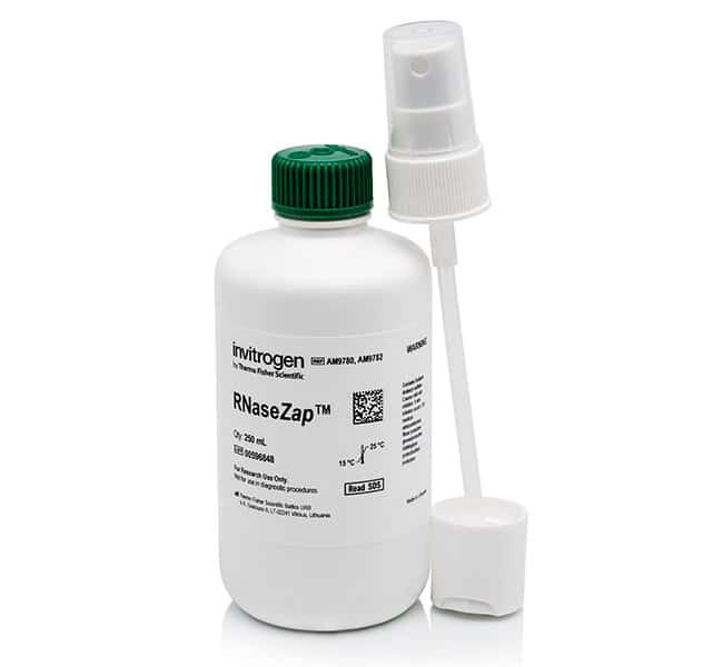 AM9780，RNaseZap? RNase 去污溶液