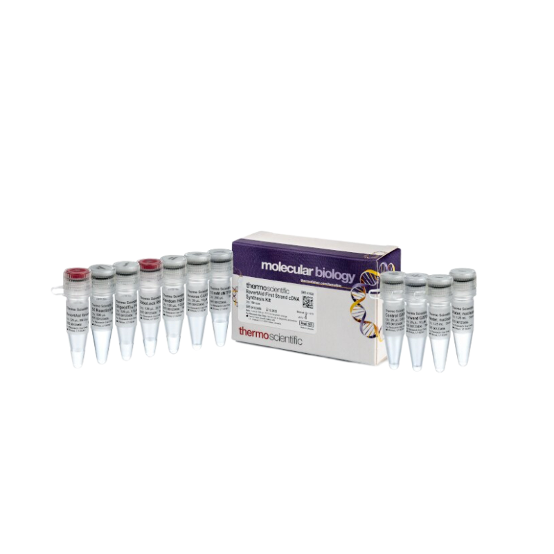 K1622，RevertAid First Strand cDNA Synthesis Kit反转录试剂盒