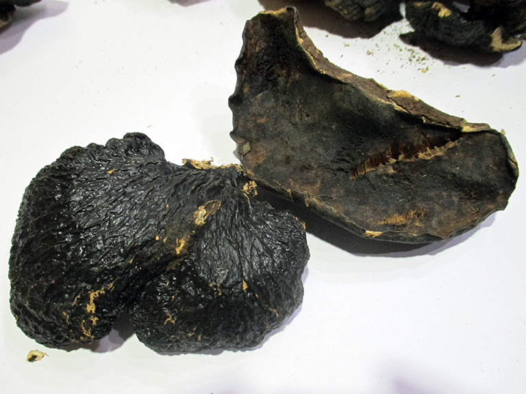 Bo Shu Zhi Wild Bo Shu Zhi Ganoderma lucidum wild Bo Gai Zhi taste not bitter variety 13 years old store 328 yuan a catty