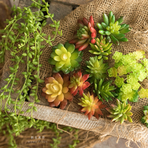 Cute emulation mini small succulent plant Lover tear Buddha beads detail decorated with full moon newborn photo props