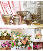 (Yangfang) Flower Splanter Set ins Classical High Roman Flower Pot Iron Gold and Silver European Flower Weng Vintage Vase