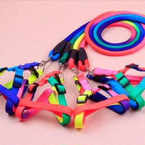 Pet supplies Colorful round belt Pet traction rope Colorful round rope Chest strap Dog walking rope Teddy traction belt