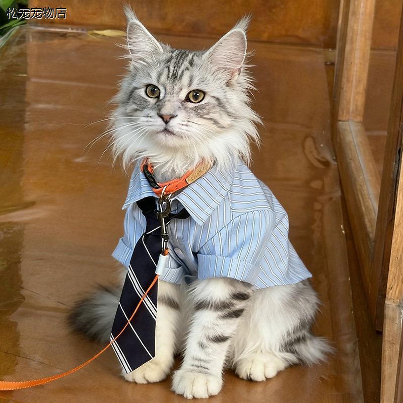 Maine Cat Clothing Accessories Spring and Summer New Style Handsome Outdoor Outfit for Male Cats, Thin Shirt with Tie for Outdoor Photoshoots Maine Cat Clothing Accessories Spring and Summer New Style Handsome Outdoor Outfit for Male Cats, Thin Shirt with Tie for Outdoor Photoshoots