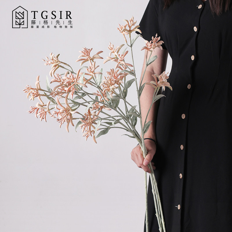 Single Branches Kangaroo Paw Emulation Floral Table Decoration Furnishing Furnishing Home Decoration Floral Art Fake Flowers Nordic Bouquet View Props