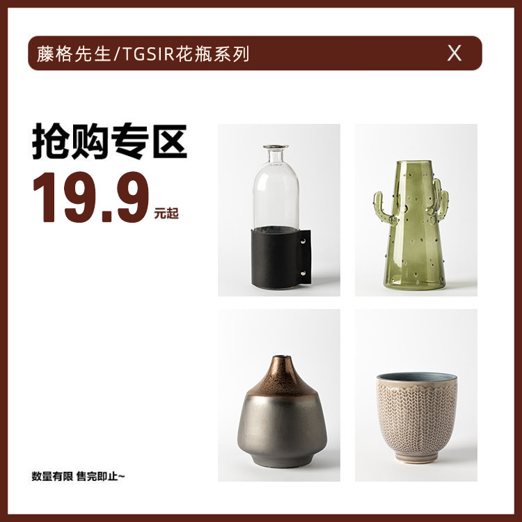 TTGSIR Fujifilm Mr. vase 19 9 Yuan with limited preferential zone glass ceramic insert vase pendulum piece