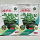 Special rootstock for watermelon and melon, grafted watermelon seed with full seeds, disease resistance, resistance to repeated cropping, strong affinity