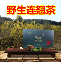 Shanxi Lingcheng Mountain Taiwang Tea Cool fragrance wild tea and warp tea and warp New Spring Green Tea