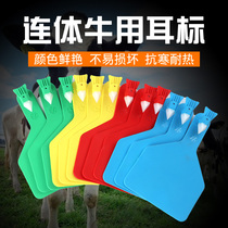 New Zealand Imported Bull Ear logo Ears Sign EAR SIGN ONE-PIECE EAR TAG MONOLITHICALLY INTEGRATED LARGE NUMBER OF DAIRY COWS EAR TAGS