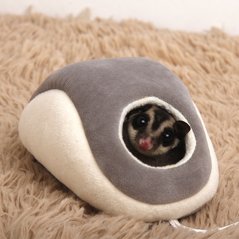  Honey bag Thick Nest Squirrel Honey Kangaroo Dutch Pig Minke Big Eyed Flying Squirrel Cat Warm Cotton Covets Hogno.