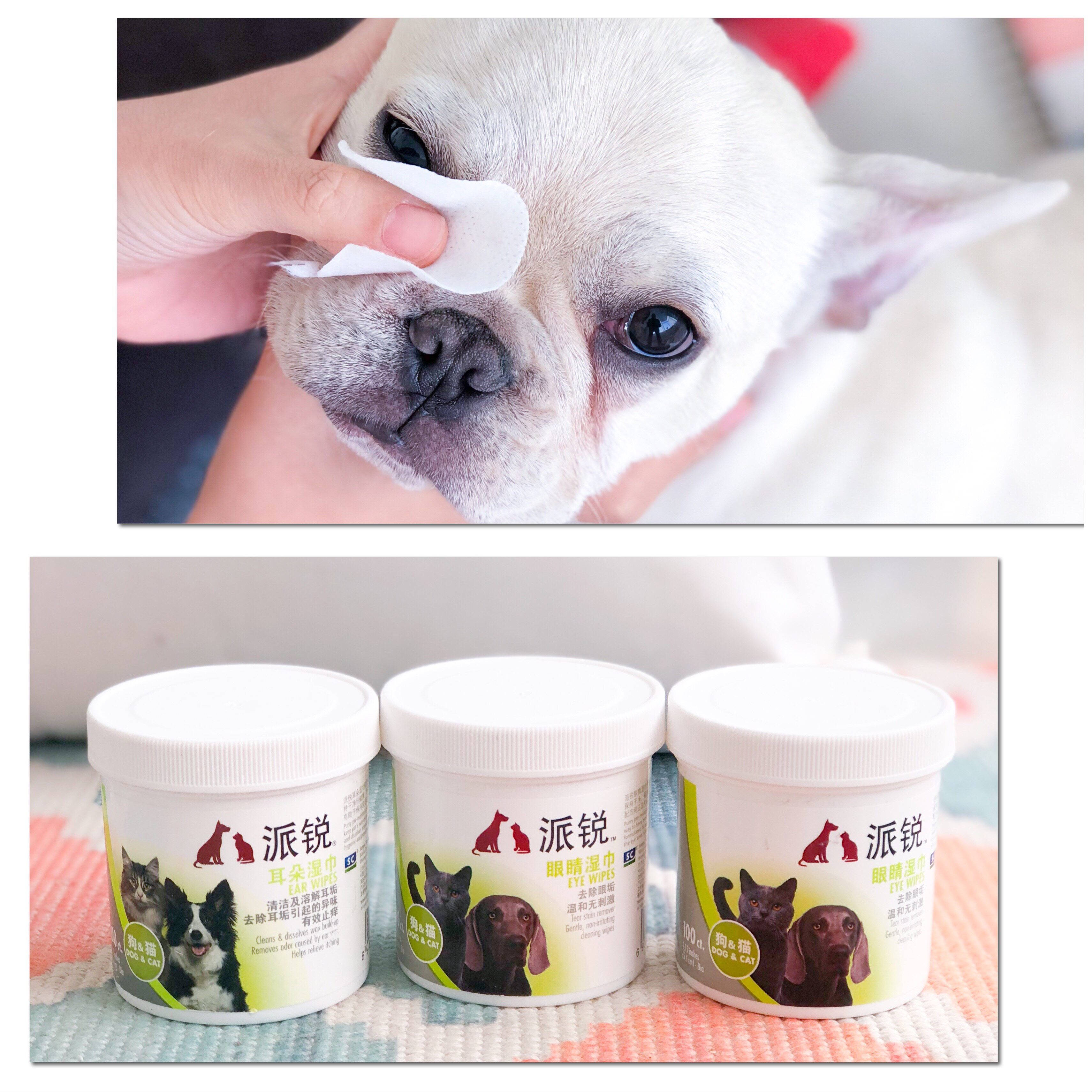 Pie-sharp pet eyes wet wipes 100 slices of dogs rubbing eye kittens to tears in a fight than a bear gaffy cat cleaning