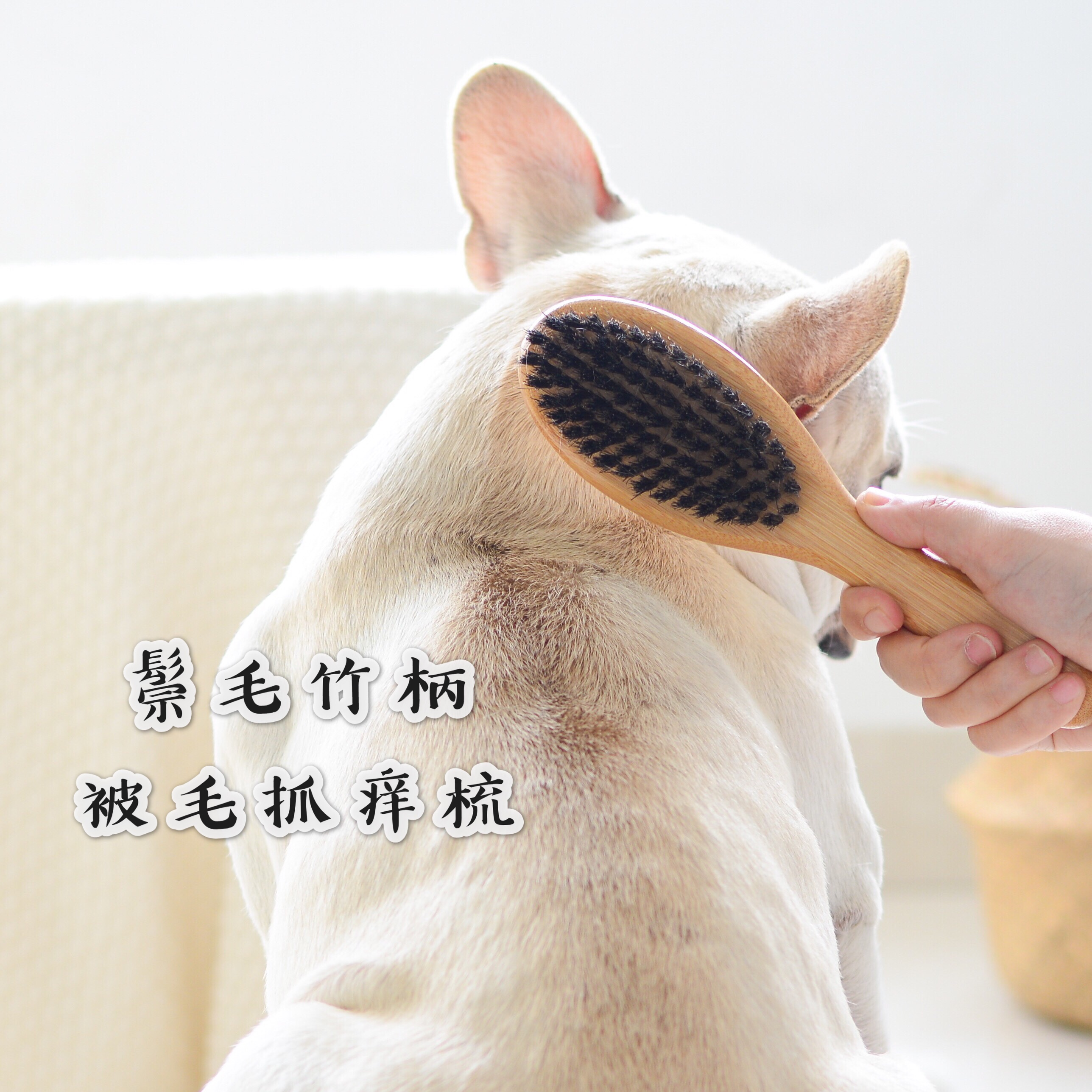 Short fur dog mane comb by hair comb brush Pharmaine clear floating hair bright hair wool comb Labrador massage Infighting