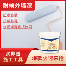 Exterior Wall latex paint waterproof sunscreen water-based Alkali-resistant topcoat small bucket color graffiti toilet wall paint paint