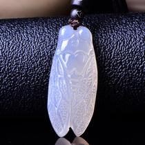 Natural Jade Medullary cicadas pendant informed of the sweater chain wave men and women a stunning golden cicadas necklace