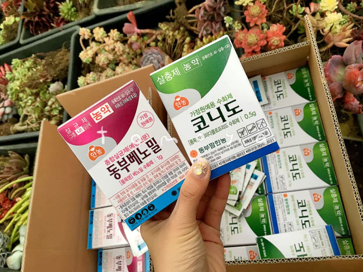 墨亚 韩国进口多肉植物杀虫剂杀虫药