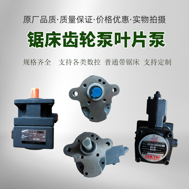 Metal Band Sawing Machine Fitting Hydraulic Oil Pump Gear Pump CB-4 Pressure Regulating Pump Vane Pump High Pressure Pump VP20 Coupling