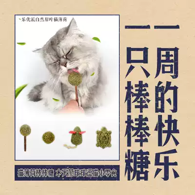 Catnip lollipop wooden polygonum balls tease cat snacks Tease cat's taste buds at any time