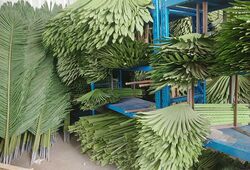 Artificial Coconut Palm Leaves, Tropical Palm Leaves, Fake Fan Palm Leaves, Large Banana Leaves, Decorative Leaves