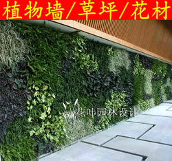 Encrypted Simulated Plant Wall, Artificial Turf Background Wall, Green Plant Wall, Three-Dimensional Fake Green Lawn, Balcony Decoration Wall Hanging