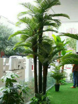 Simulated coconut tree potted shopping mall large fake coconut palm suntree tree plant interior decorated dense tropical plant