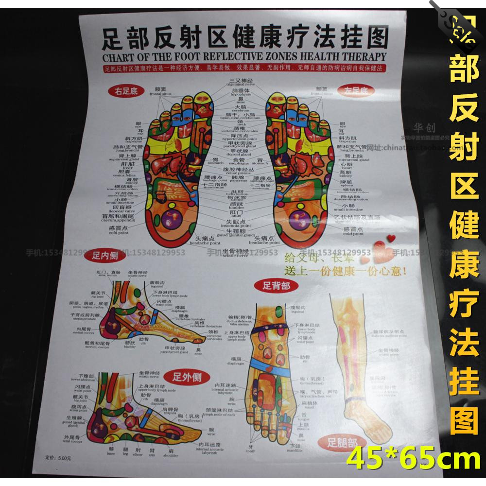 正版高清人体经络穴位图足部反射区挂图足底按摩标准穴位中医针灸