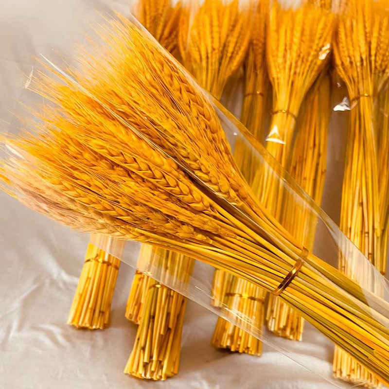 Golden Wheat Ears Dried Flowers Natural Wheat Living Room Decoration Ornaments Exhibition Performance Props Opening Celebration Barley Bouquet