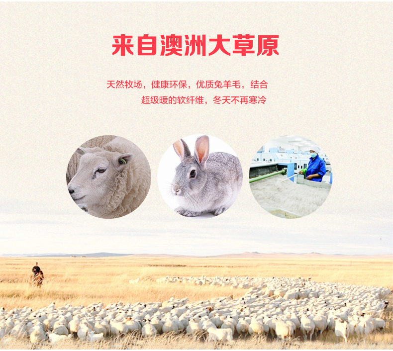 Chaussettes - collants BONAS - Ref 780306 Image 8