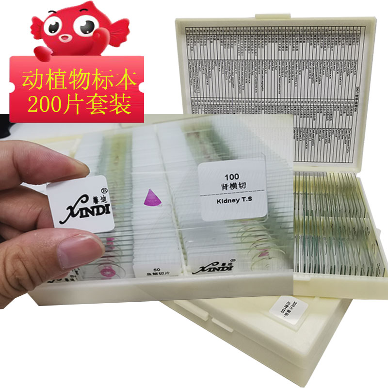 Xindi high-definition biological microscope high-quality animal and plant cell slice specimen student set laboratory group algae
