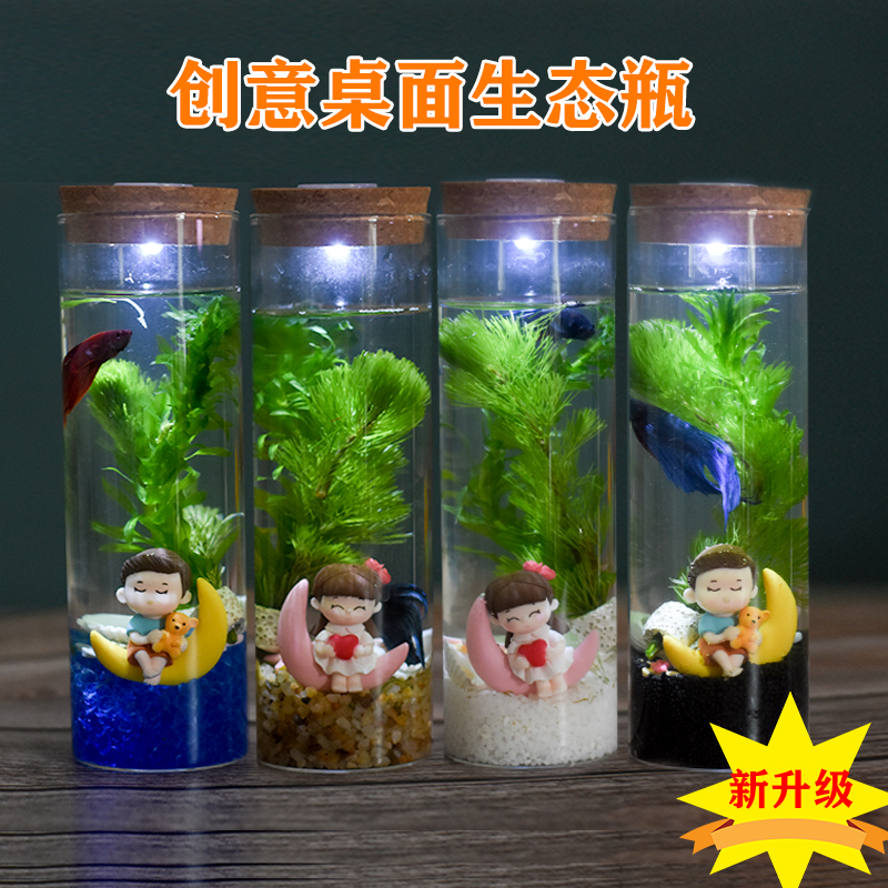 Eco-bottle fish microscape free of change water to be free of haircut and diy aqua desk surface creative view fish tank