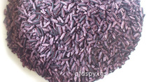 Yunnan Native Ink Jiang Purple Rice Black Rice Blood Sticky Rice 5 Gu Cereals With Great Price