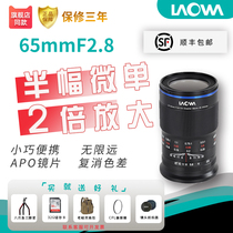 Old Frog 65mm F2 8 macro lens Half-frame mirrorless micro single Fuji X2x Insect compound eye flower dental