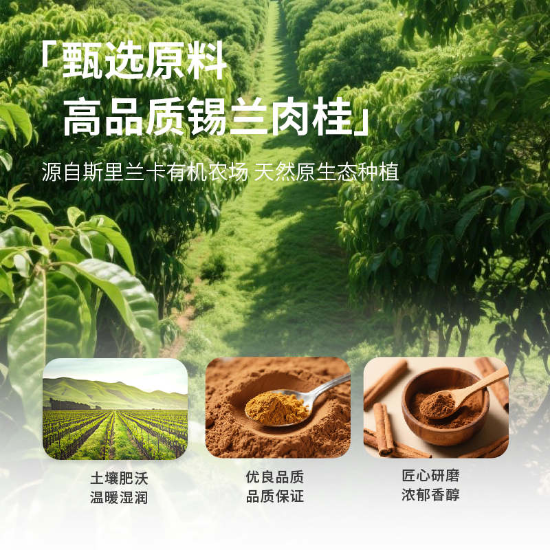 TenneLady肉桂粉80g真的绝了！烘焙调味生酮健身必备，这波不冲亏麻了！