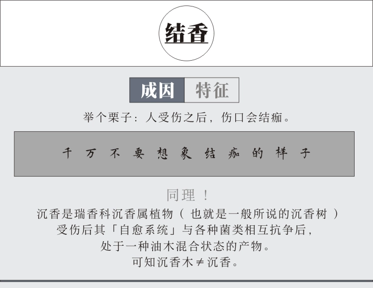 Hương thơm trầm hương của Wan Hương gỗ con gái Đông Quan tinh khiết tự nhiên nằm hương hộp quà thơm nhà trong nhà làm dịu giúp ngủ - Sản phẩm hương liệu