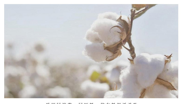 Khăn gối lớn màu đỏ một đôi bông bán giải phóng mặt bằng đặc biệt đám cưới đám cưới gối khăn bông cao cấp cặp vợ chồng - Khăn gối khăn choàng gối