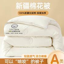 Soy fiber quilt dormitory single student air-conditioned summer cool quilt mother quilt spring and autumn quilt core winter quilt childrens quilt