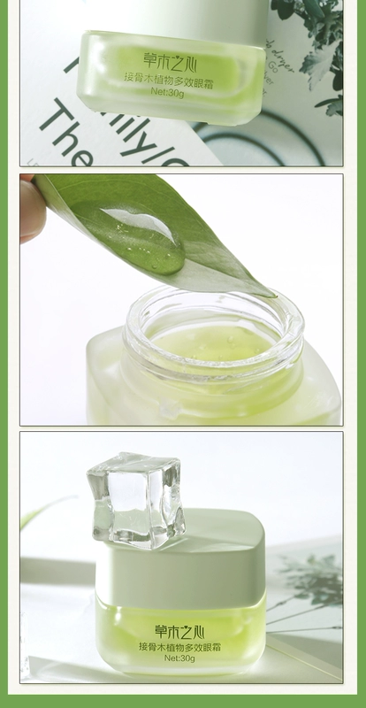 Kem dưỡng mắt Grass Heart để làm sáng túi mắt tròn tối Fine Line dưỡng ẩm nâng cơ Firming Anti-Wrinkle Eye Care